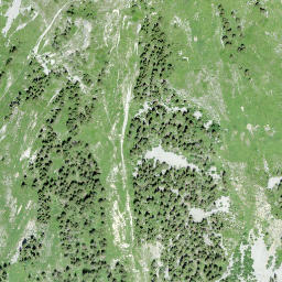 Satellite imagery of Mont d'Or, CH