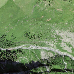 Satellite imagery of Walliser Wispile, CH