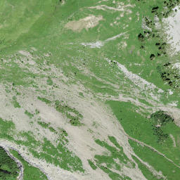 Satellite imagery of Walliser Wispile, CH