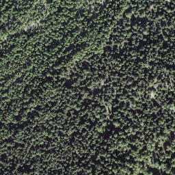Satellite imagery of Riederfurka, CH