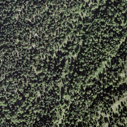 Satellite imagery of Riederfurka, CH