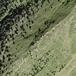 Satellite imagery of Riederfurka, CH