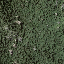 Satellite imagery of Pizzo Forca, CH