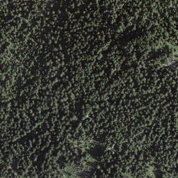 Satellite imagery of Pizzo di Borgéno, CH