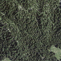Satellite imagery of Pizzo di Borgéno, CH
