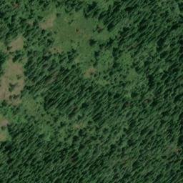 Satellite imagery of Willow Point, US
