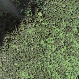 Satellite imagery of Mont d'Arvel, CH