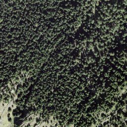 Satellite imagery of Riederfurka, CH