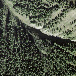 Satellite imagery of Burstini, CH