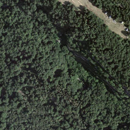 Satellite imagery of Pizzo Forca, CH