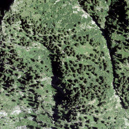 Satellite imagery of Piz del Romonton, CH