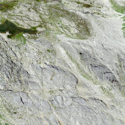 Satellite imagery of Bergalgapass, CH