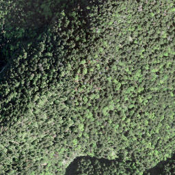 Satellite imagery of Mont d'Arvel, CH