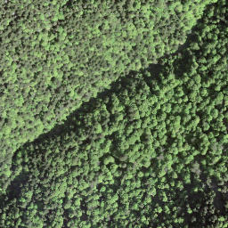 Satellite imagery of Mont d'Arvel, CH