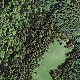 Satellite imagery of Mont d'Arvel, CH
