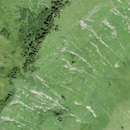 Satellite imagery of Stuedelistand, CH