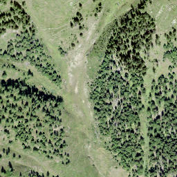 Satellite imagery of Burstini, CH