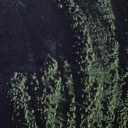 Satellite imagery of Fòpp, CH