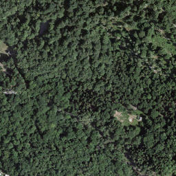Satellite imagery of Pizzo Forca, CH