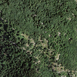 Satellite imagery of Pizzo Forca, CH