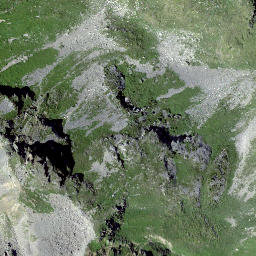 Satellite imagery of Piz Salacina, CH