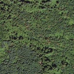 Satellite imagery of Huckleberry Ridge, US