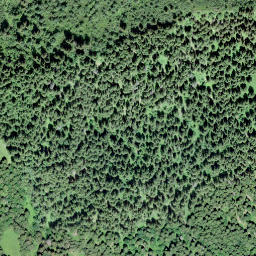 Satellite imagery of Le Triau, CH