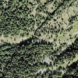 Satellite imagery of Riederhorn, CH