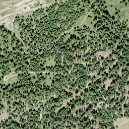 Satellite imagery of Burstini, CH