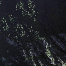 Satellite imagery of Fòpp, CH