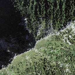 Satellite imagery of Fòpp, CH