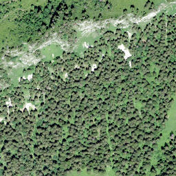 Satellite imagery of Sex des Paccots, CH