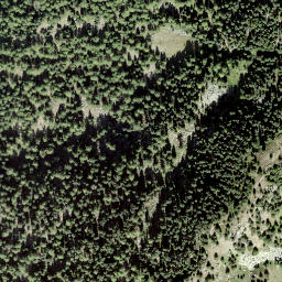 Satellite imagery of Riederhorn, CH
