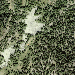 Satellite imagery of Riederhorn, CH