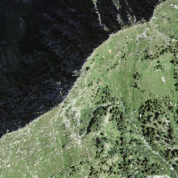 Satellite imagery of Fòpp, CH