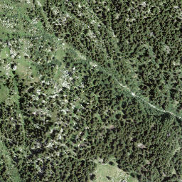 Satellite imagery of Fòpp, CH