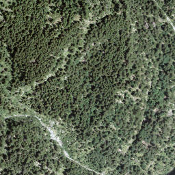 Satellite imagery of Fòpp, CH
