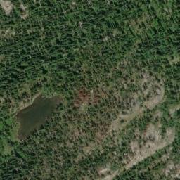 Satellite imagery of Friday Ridge, US