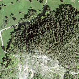 Satellite imagery of Sex de la Sarse, CH