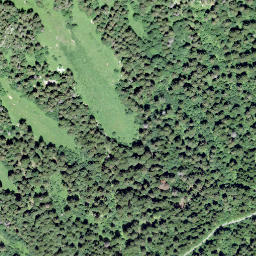 Satellite imagery of Sex des Paccots, CH