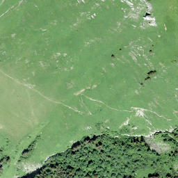 Satellite imagery of Berneuse, CH