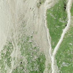 Satellite imagery of Cänt dal Gerl, CH