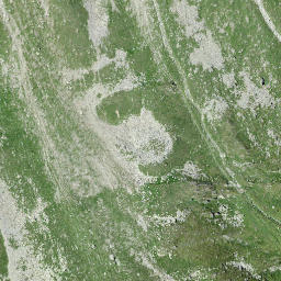 Satellite imagery of Cänt dal Gerl, CH