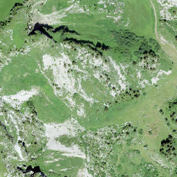 Satellite imagery of Berneuse, CH