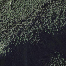 Satellite imagery of Forcarella, CH