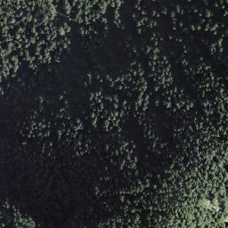 Satellite imagery of Forcarella, CH