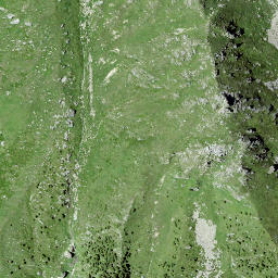 Satellite imagery of Cänt dal Gerl, CH