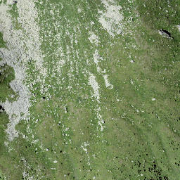 Satellite imagery of Cänt dal Gerl, CH