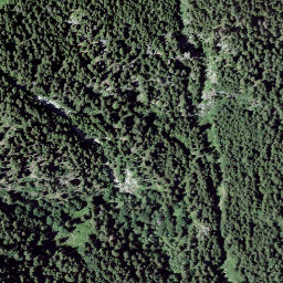Satellite imagery of Piz Carn, CH