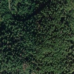 Satellite imagery of Austin Ridge, US